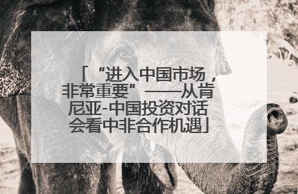 “进入中国市场，非常重要”——从肯尼亚-中国投资对话会看中非合作机遇