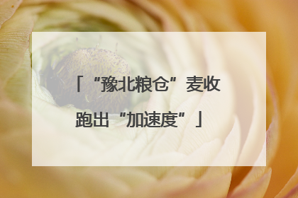 “豫北粮仓”麦收跑出“加速度”