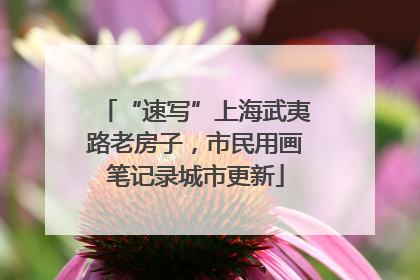 “速写”上海武夷路老房子，市民用画笔记录城市更新