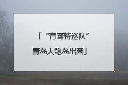 “青鸾特巡队”青岛大鲍岛出圈