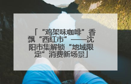 “鸡架味咖啡”香飘“西红市”——沈阳市集解锁“地域限定”消费新场景