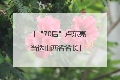 “70后”卢东亮当选山西省省长
