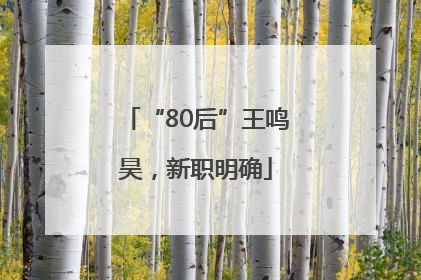 “80后”王鸣昊，新职明确