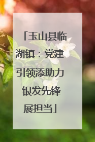 玉山县临湖镇：党建引领添助力 银发先锋展担当
