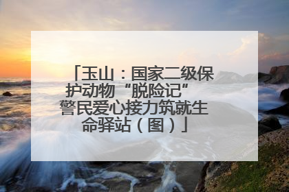 玉山：国家二级保护动物“脱险记” 警民爱心接力筑就生命驿站（图）