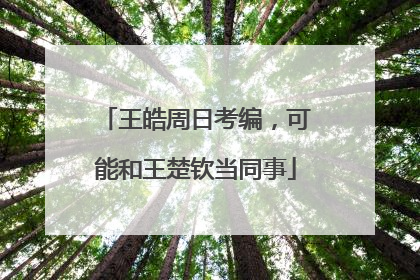 王皓周日考编，可能和王楚钦当同事