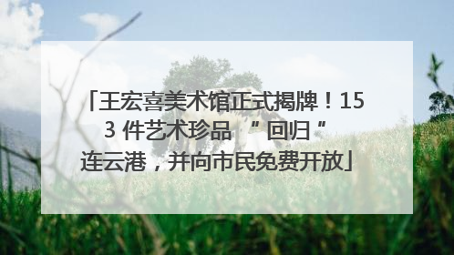 王宏喜美术馆正式揭牌！153 件艺术珍品 “ 回归 ” 连云港，并向市民免费开放