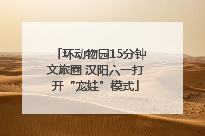 环动物园15分钟文旅圈 汉阳六一打开“宠娃”模式