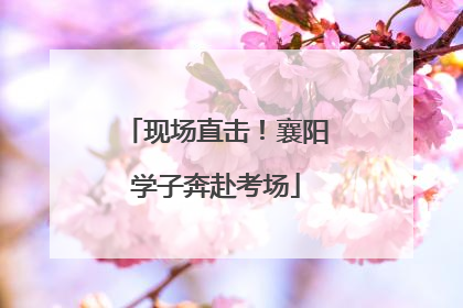 现场直击！襄阳学子奔赴考场