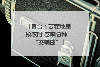 灵台：麦茬地里抢农时 奏响复种“交响曲”