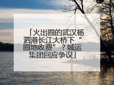 火出圈的武汉杨泗港长江大桥下“圈地收费”？城运集团回应争议