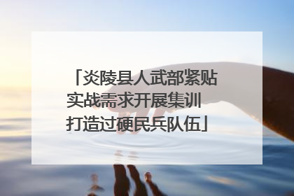 炎陵县人武部紧贴实战需求开展集训 打造过硬民兵队伍