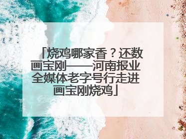 烧鸡哪家香？还数画宝刚——河南报业全媒体老字号行走进画宝刚烧鸡
