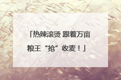 热辣滚烫 跟着万亩粮王“抢”收麦！