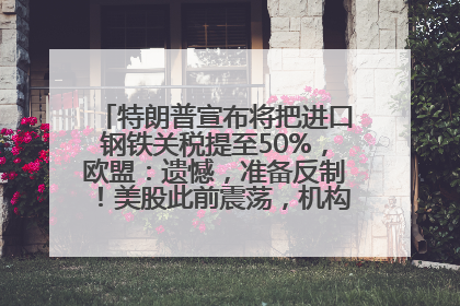 特朗普宣布将把进口钢铁关税提至50%，欧盟：遗憾，准备反制！美股此前震荡，机构：美元正进入熊市
