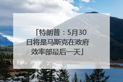特朗普：5月30日将是马斯克在政府效率部最后一天