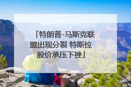 特朗普-马斯克联盟出现分裂 特斯拉股价承压下挫