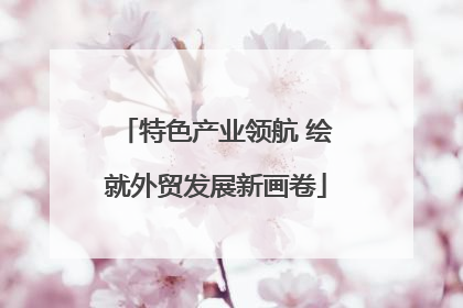特色产业领航 绘就外贸发展新画卷