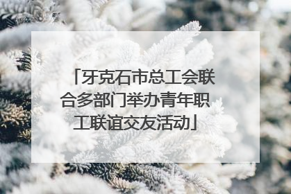 牙克石市总工会联合多部门举办青年职工联谊交友活动