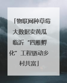 物联网种草莓 大数据卖黄瓜 临沂“四雁孵化”工程链动乡村共富