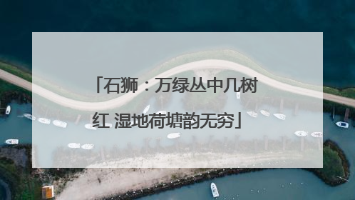 石狮：万绿丛中几树红 湿地荷塘韵无穷
