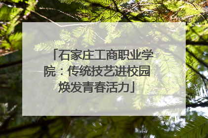 石家庄工商职业学院：传统技艺进校园焕发青春活力