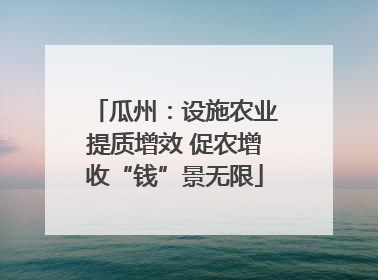 瓜州：设施农业提质增效 促农增收“钱”景无限