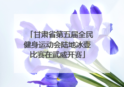 甘肃省第五届全民健身运动会陆地冰壶比赛在武威开赛