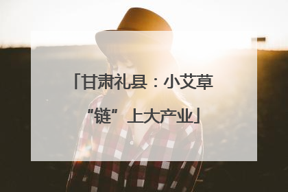 甘肃礼县：小艾草“链”上大产业