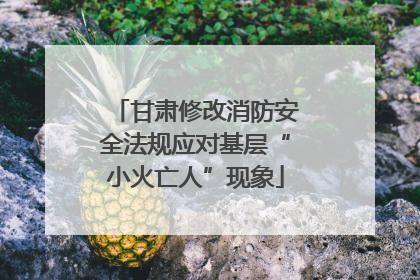 甘肃修改消防安全法规应对基层“小火亡人”现象