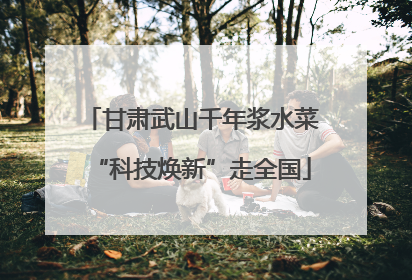 甘肃武山千年浆水菜“科技焕新”走全国