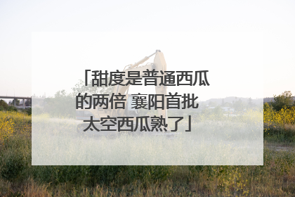 甜度是普通西瓜的两倍 襄阳首批太空西瓜熟了