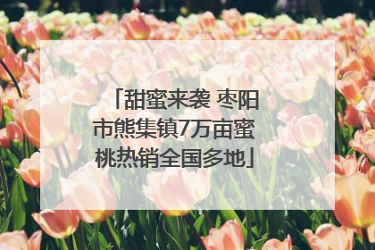 甜蜜来袭 枣阳市熊集镇7万亩蜜桃热销全国多地