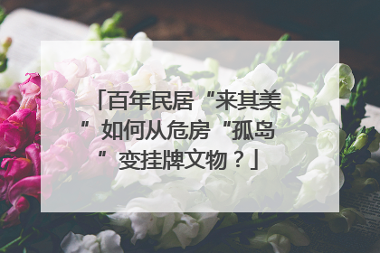 百年民居“来其美”如何从危房“孤岛”变挂牌文物？