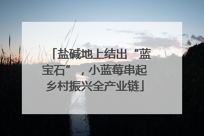 盐碱地上结出“蓝宝石”，小蓝莓串起乡村振兴全产业链