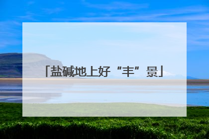 盐碱地上好“丰”景