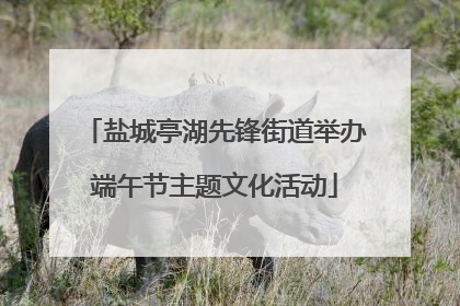 盐城亭湖先锋街道举办端午节主题文化活动