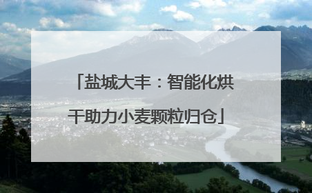 盐城大丰：智能化烘干助力小麦颗粒归仓