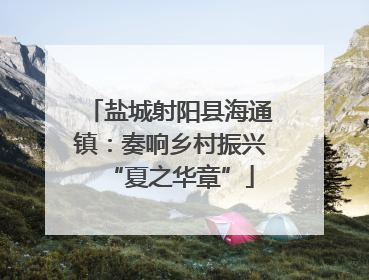 盐城射阳县海通镇：奏响乡村振兴“夏之华章”