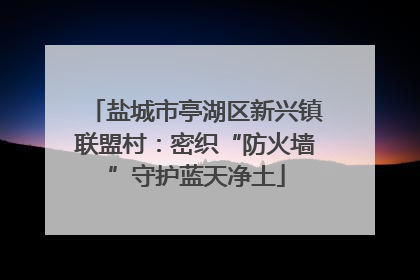 盐城市亭湖区新兴镇联盟村：密织“防火墙”守护蓝天净土