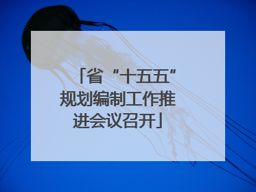 省“十五五”规划编制工作推进会议召开
