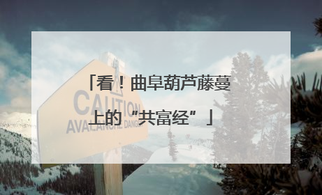 看！曲阜葫芦藤蔓上的“共富经”