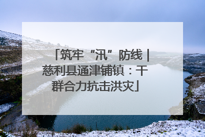 筑牢“汛”防线｜慈利县通津铺镇：干群合力抗击洪灾