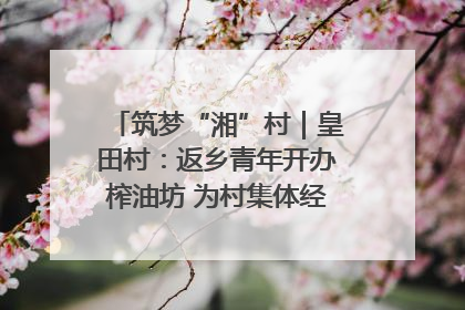 筑梦“湘”村｜皇田村：返乡青年开办榨油坊 为村集体经济“加油”