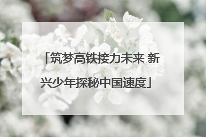 筑梦高铁接力未来 新兴少年探秘中国速度