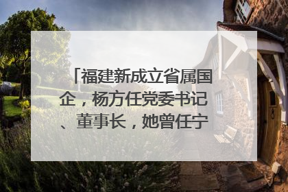 福建新成立省属国企，杨方任党委书记、董事长，她曾任宁德市委副书记｜张田怡已任县委副书记、县政府党组书记