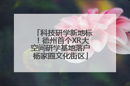 科技研学新地标！德州首个XR大空间研学基地落户杨家圈文化街区