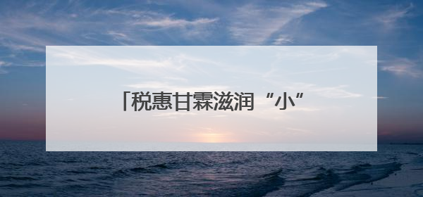 税惠甘霖滋润“小”香瓜闯出“大”市场