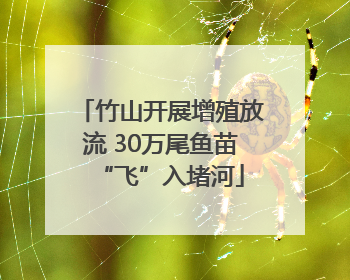 竹山开展增殖放流 30万尾鱼苗“飞”入堵河