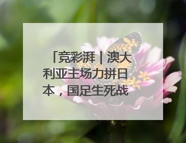 竞彩湃｜澳大利亚主场力拼日本，国足生死战大热倒灶？